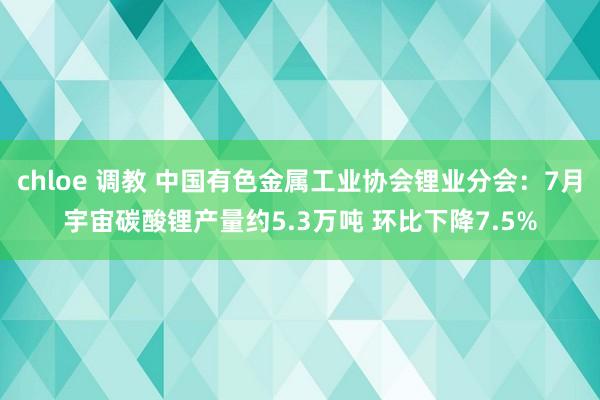 chloe 调教 中国有色金属工业协会锂业分会：7月宇宙碳酸锂产量约5.3万吨 环比下降7.5%