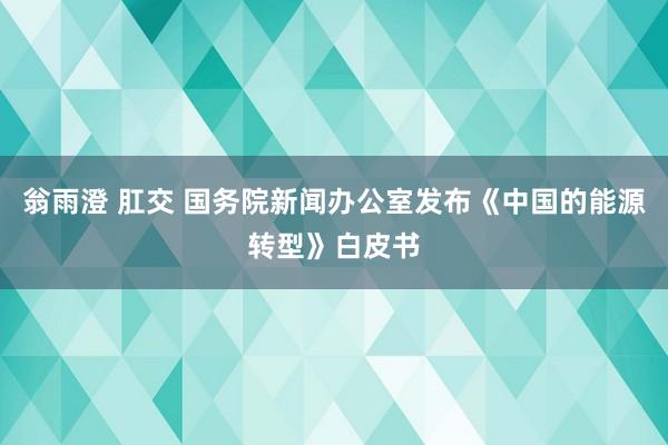 翁雨澄 肛交 国务院新闻办公室发布《中国的能源转型》白皮书