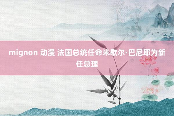 mignon 动漫 法国总统任命米歇尔·巴尼耶为新任总理