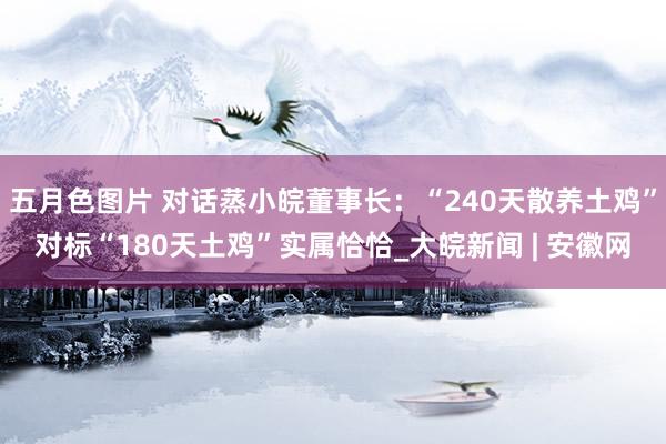 五月色图片 对话蒸小皖董事长：“240天散养土鸡”对标“180天土鸡”实属恰恰_大皖新闻 | 安徽网