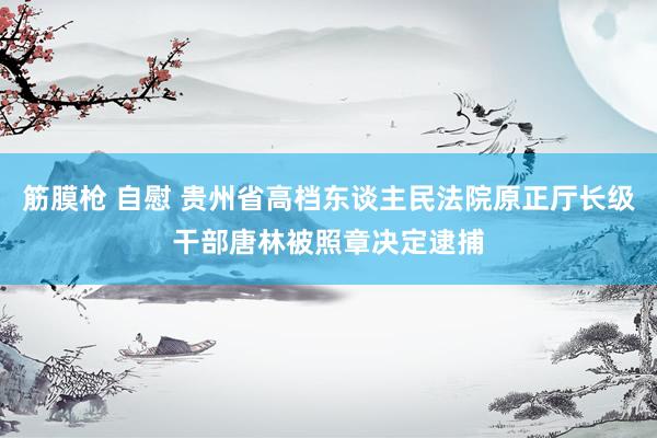 筋膜枪 自慰 贵州省高档东谈主民法院原正厅长级干部唐林被照章决定逮捕