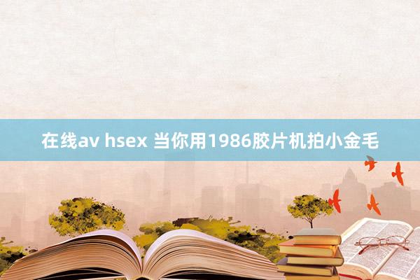 在线av hsex 当你用1986胶片机拍小金毛