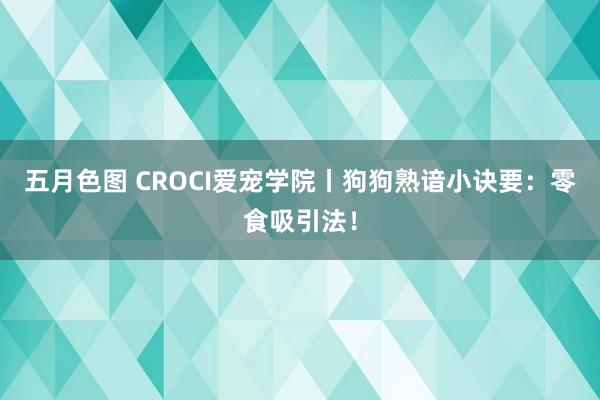 五月色图 CROCI爱宠学院丨狗狗熟谙小诀要：零食吸引法！