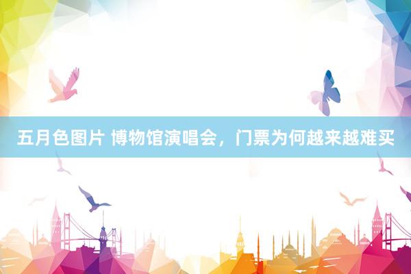 五月色图片 博物馆演唱会，门票为何越来越难买