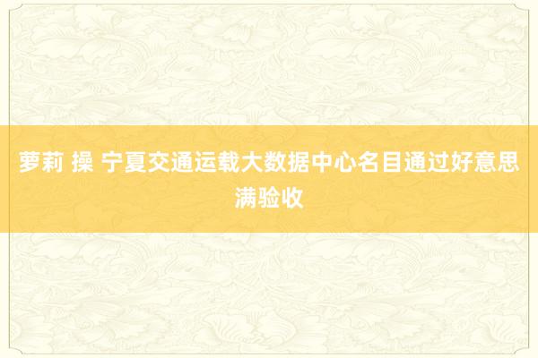 萝莉 操 宁夏交通运载大数据中心名目通过好意思满验收