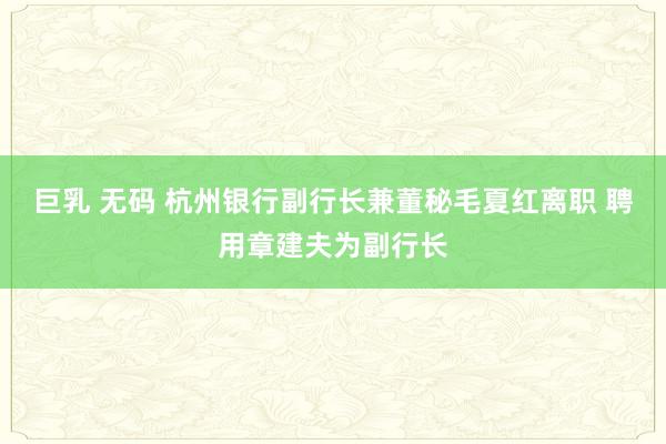 巨乳 无码 杭州银行副行长兼董秘毛夏红离职 聘用章建夫为副行长