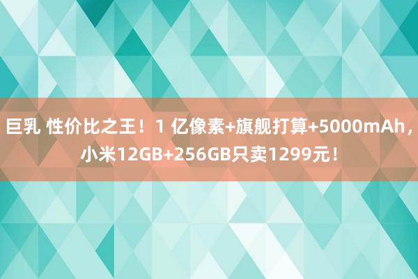 巨乳 性价比之王！1 亿像素+旗舰打算+5000mAh，小米12GB+256GB只卖1299元！