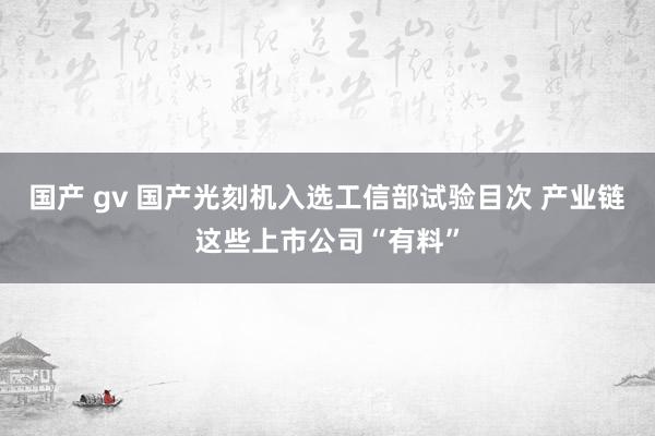 国产 gv 国产光刻机入选工信部试验目次 产业链这些上市公司“有料”