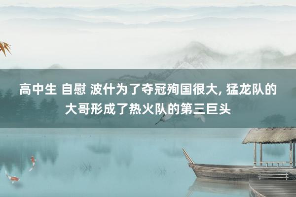 高中生 自慰 波什为了夺冠殉国很大, 猛龙队的大哥形成了热火队的第三巨头