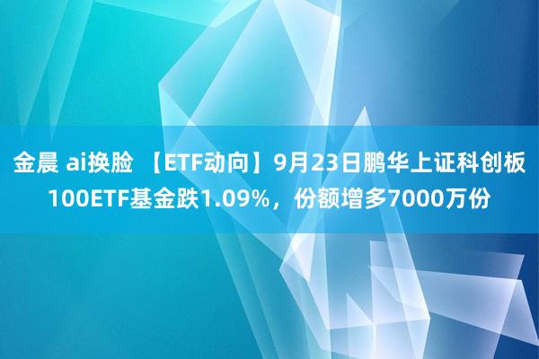 金晨 ai换脸 【ETF动向】9月23日鹏华上证科创板100ETF基金跌1.09%，份额增多7000