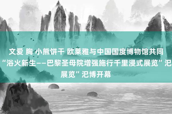 文爱 胸 小熊饼干 欧莱雅与中国国度博物馆共同呈现的“浴火新生——巴黎圣母院增强施行千里浸式展览”汜