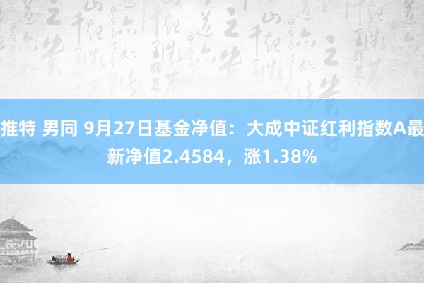 推特 男同 9月27日基金净值：大成中证红利指数A最新净值2.4584，涨1.38%