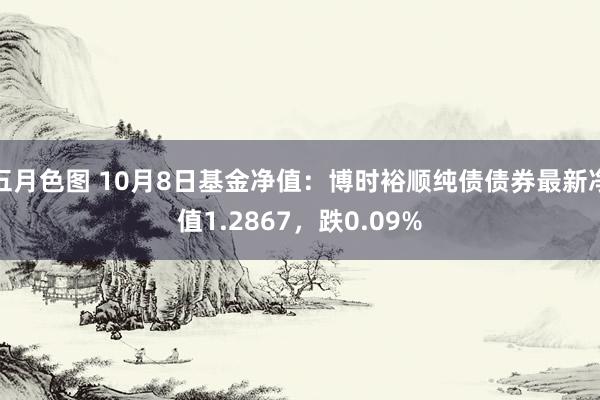 五月色图 10月8日基金净值：博时裕顺纯债债券最新净值1.2867，跌0.09%