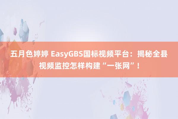 五月色婷婷 EasyGBS国标视频平台：揭秘全县视频监控怎样构建“一张网”！