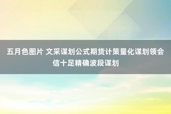 五月色图片 文采谋划公式期货计策量化谋划领会信十足精确波段谋划