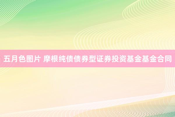 五月色图片 摩根纯债债券型证券投资基金基金合同