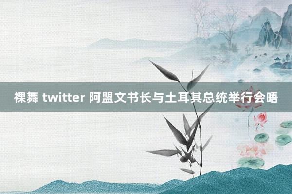 裸舞 twitter 阿盟文书长与土耳其总统举行会晤