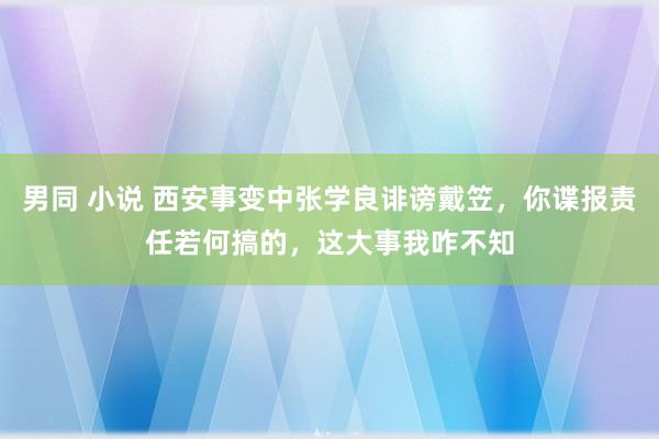 男同 小说 西安事变中张学良诽谤戴笠，你谍报责任若何搞的，这大事我咋不知