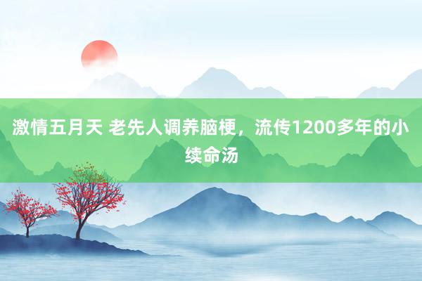 激情五月天 老先人调养脑梗，流传1200多年的小续命汤