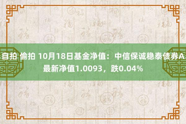 自拍 偷拍 10月18日基金净值：中信保诚稳泰债券A最新净值1.0093，跌0.04%