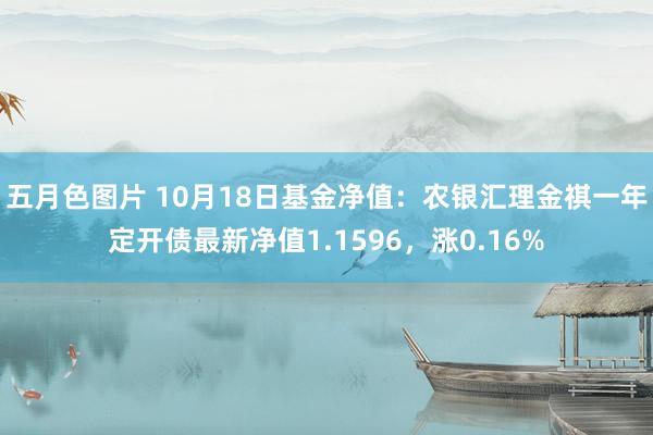 五月色图片 10月18日基金净值：农银汇理金祺一年定开债最新净值1.1596，涨0.16%