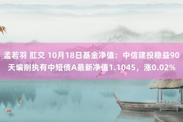 孟若羽 肛交 10月18日基金净值：中信建投稳益90天编削执有中短债A最新净值1.1045，涨0.0