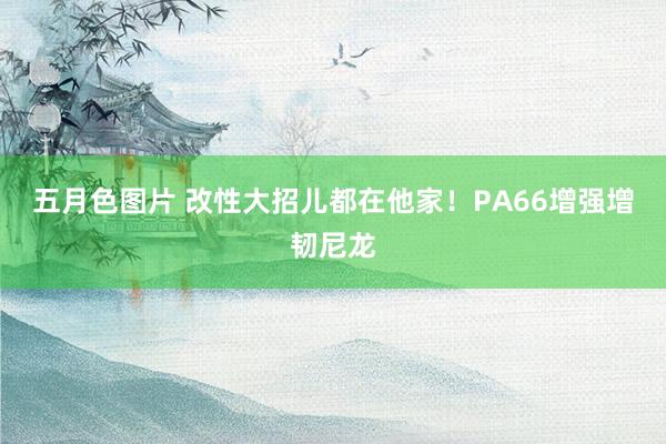 五月色图片 改性大招儿都在他家！PA66增强增韧尼龙