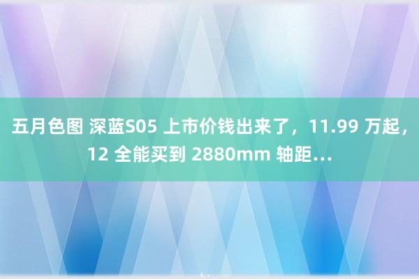 五月色图 深蓝S05 上市价钱出来了，11.99 万起，12 全能买到 2880mm 轴距…