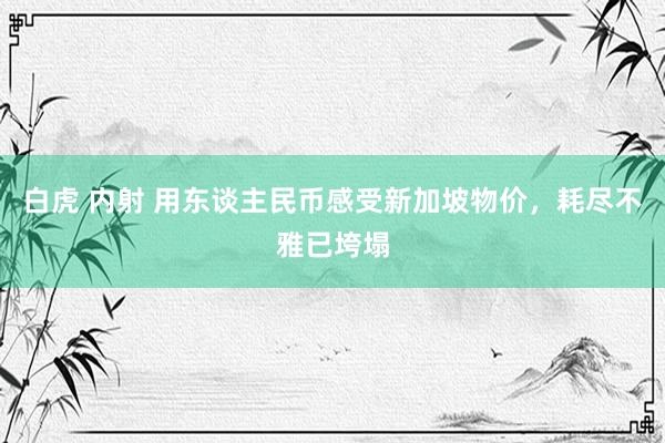 白虎 内射 用东谈主民币感受新加坡物价，耗尽不雅已垮塌