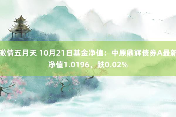 激情五月天 10月21日基金净值：中原鼎辉债券A最新净值1.0196，跌0.02%