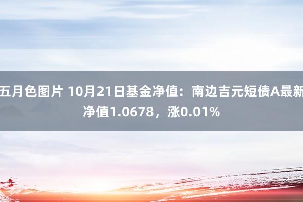 五月色图片 10月21日基金净值：南边吉元短债A最新净值1.0678，涨0.01%