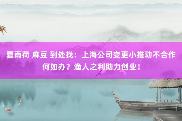 夏雨荷 麻豆 到处找：上海公司变更小推动不合作何如办？渔人之利助力创业！