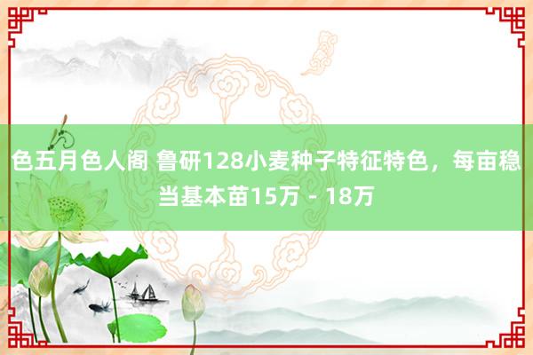 色五月色人阁 鲁研128小麦种子特征特色，每亩稳当基本苗15万－18万