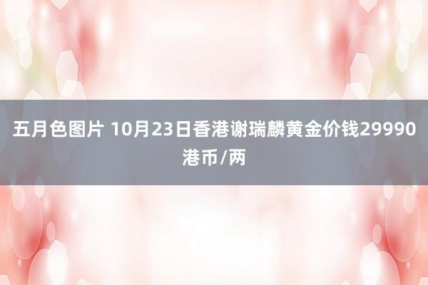 五月色图片 10月23日香港谢瑞麟黄金价钱29990港币/两