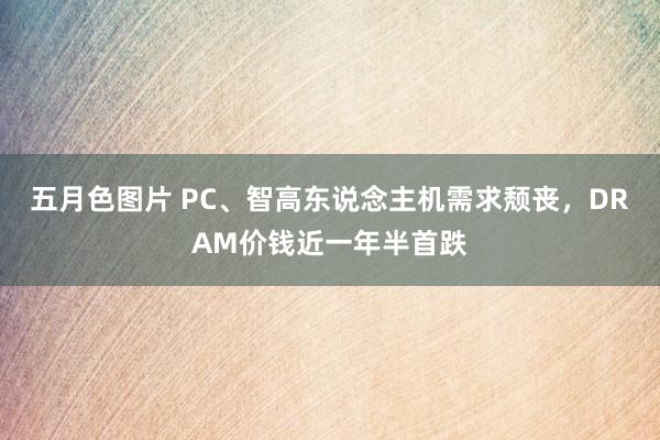 五月色图片 PC、智高东说念主机需求颓丧，DRAM价钱近一年半首跌