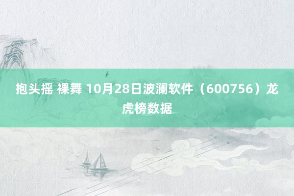 抱头摇 裸舞 10月28日波澜软件（600756）龙虎榜数据