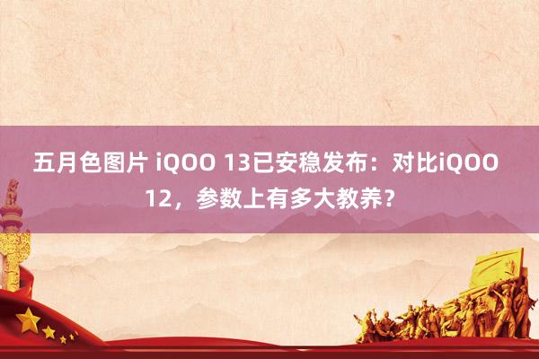 五月色图片 iQOO 13已安稳发布：对比iQOO 12，参数上有多大教养？