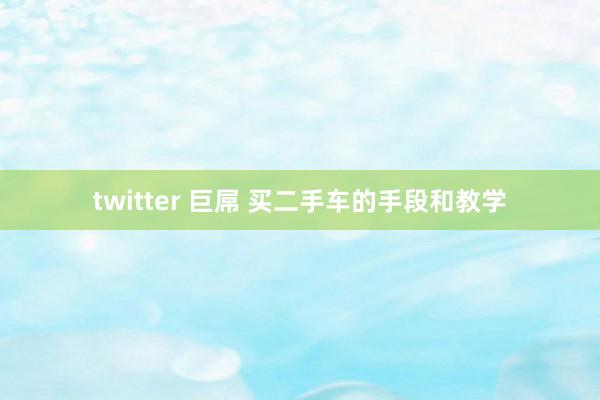 twitter 巨屌 买二手车的手段和教学