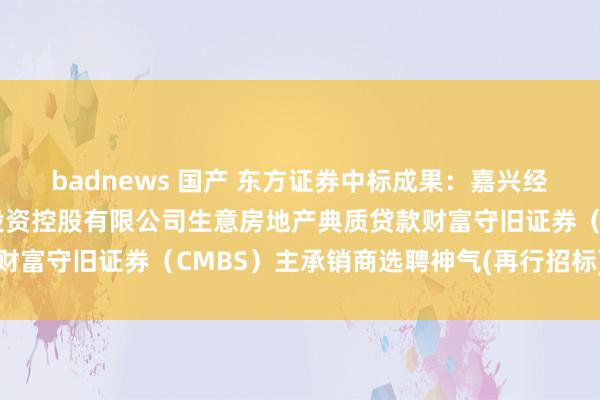 badnews 国产 东方证券中标成果：嘉兴经济技能拓荒区国有老本投资控股有限公司生意房地产典质贷款