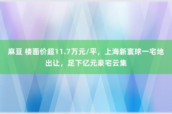 麻豆 楼面价超11.7万元/平，上海新寰球一宅地出让，足下亿元豪宅云集