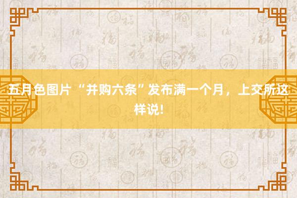 五月色图片 “并购六条”发布满一个月，上交所这样说!