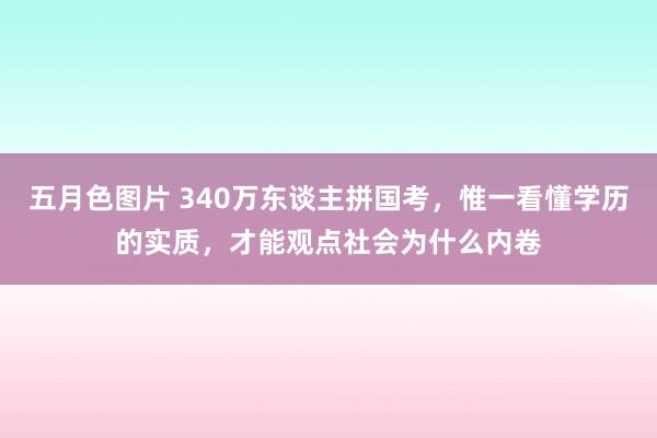 五月色图片 340万东谈主拼国考，惟一看懂学历的实质，才能观点社会为什么内卷