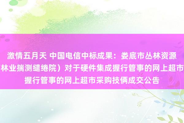 激情五月天 中国电信中标成果：娄底市丛林资源监测中心（娄底市林业揣测缱绻院）对于硬件集成握行管事的网上超市采购技俩成交公告