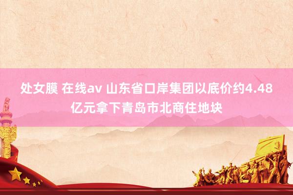 处女膜 在线av 山东省口岸集团以底价约4.48亿元拿下青岛市北商住地块