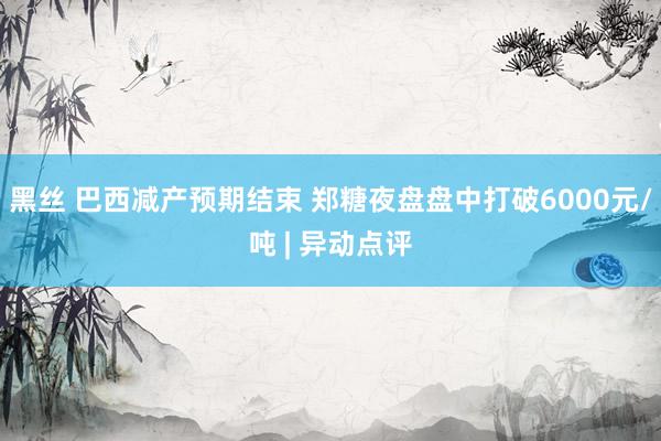 黑丝 巴西减产预期结束 郑糖夜盘盘中打破6000元/吨 | 异动点评