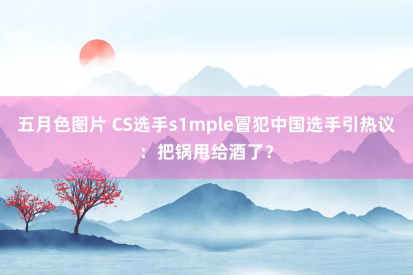 五月色图片 CS选手s1mple冒犯中国选手引热议：把锅甩给酒了？