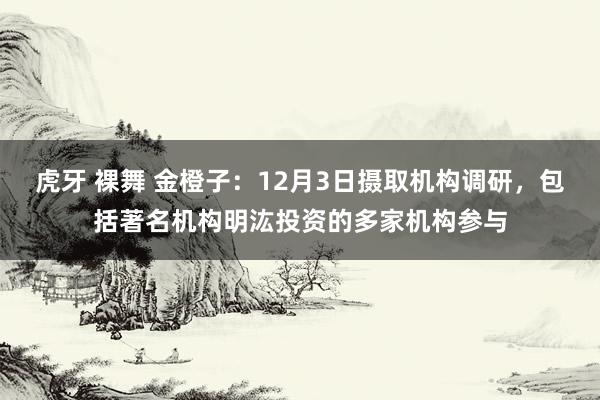 虎牙 裸舞 金橙子：12月3日摄取机构调研，包括著名机构明汯投资的多家机构参与