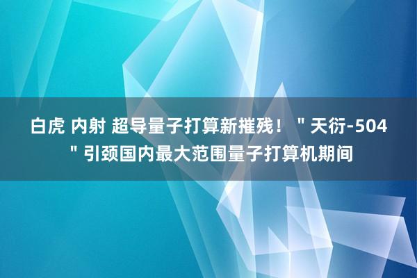 白虎 内射 超导量子打算新摧残！＂天衍-504＂引颈国内最大范围量子打算机期间