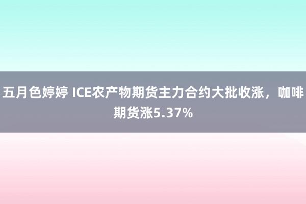 五月色婷婷 ICE农产物期货主力合约大批收涨，咖啡期货涨5.37%