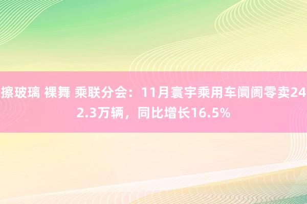 擦玻璃 裸舞 乘联分会：11月寰宇乘用车阛阓零卖242.3万辆，同比增长16.5%